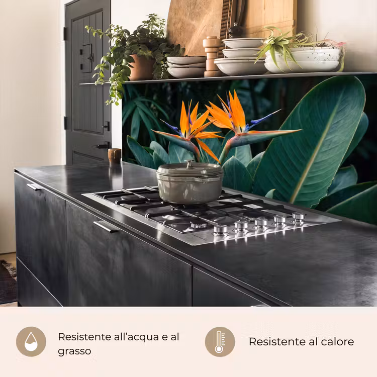 Schienale cucina - Uccello del paradiso - Fiore - Esotico — 5