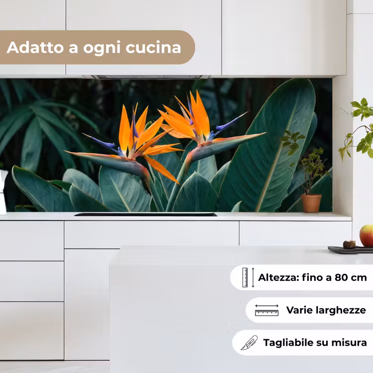 Schienale cucina - Uccello del paradiso - Fiore - Esotico — 7