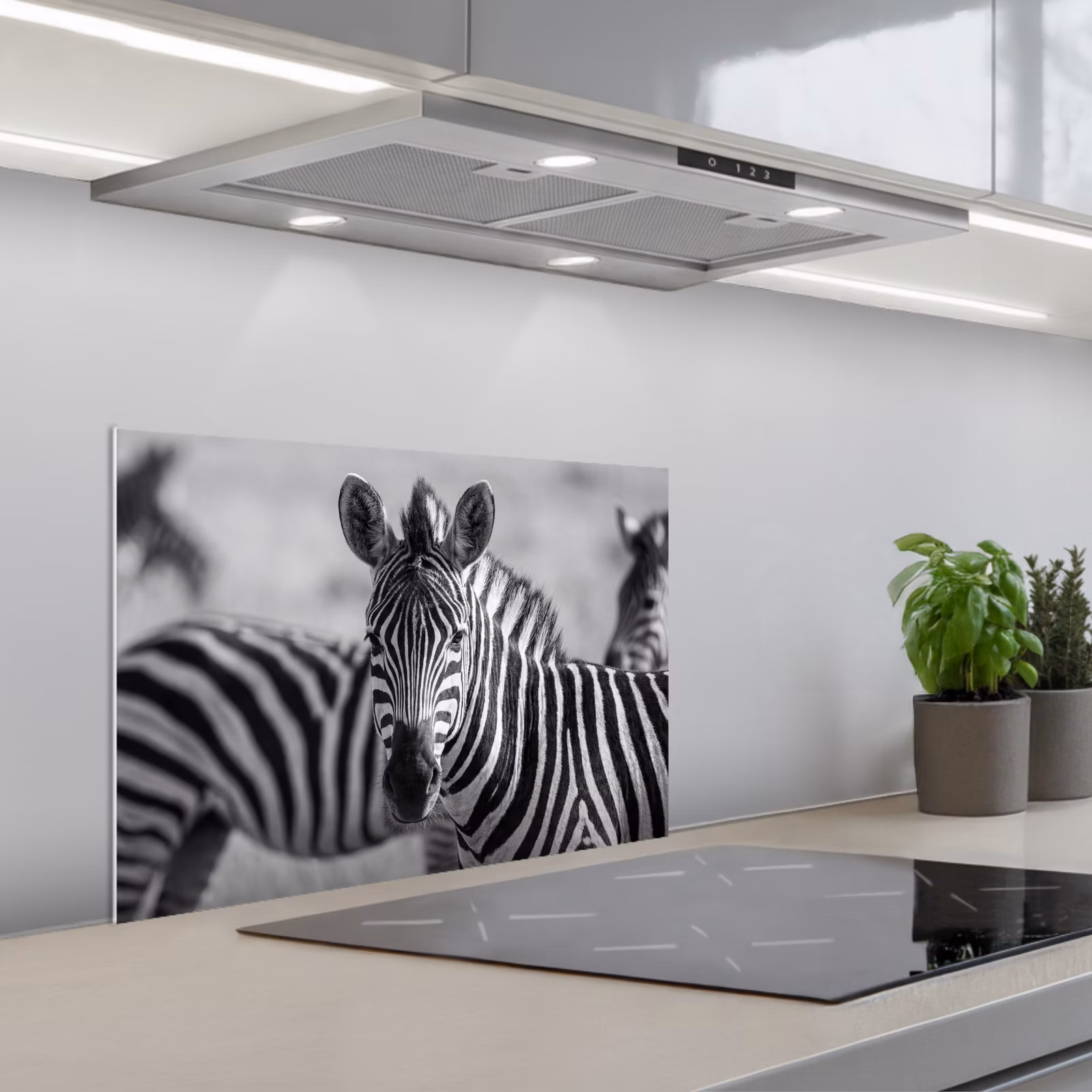 Paraschizzi cucina - Zebre - Nero - Bianco — 1