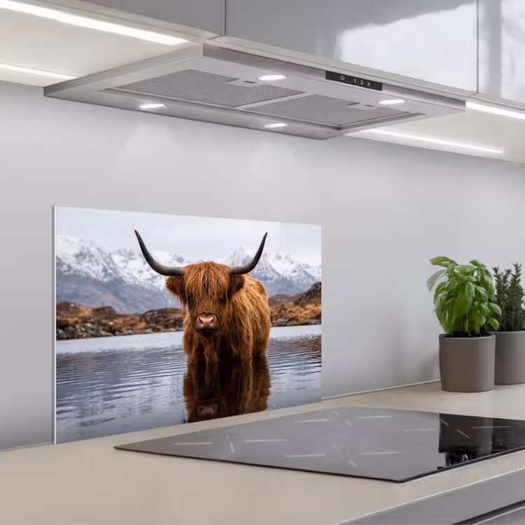 Paraschizzi cucina - Highlander scozzese - Marrone - Acqua — 1