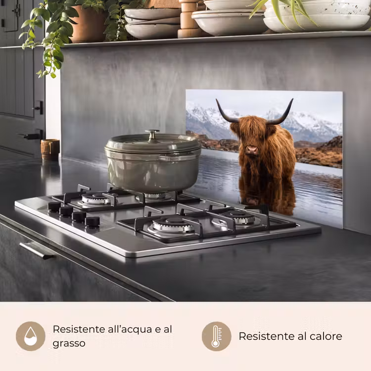 Paraschizzi cucina - Highlander scozzese - Marrone - Acqua — 2