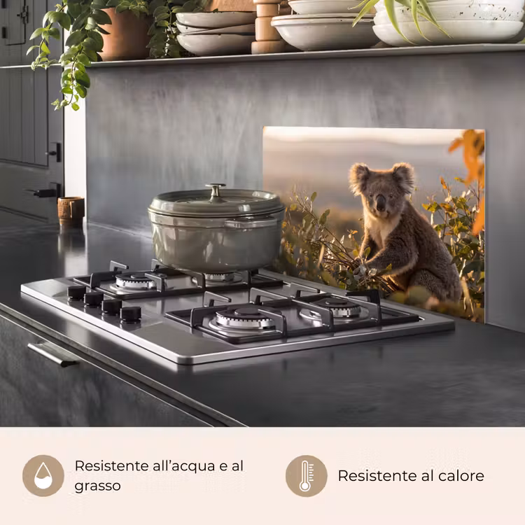 Paraschizzi cucina - Koala - Foglie - Luce del mattino — 2