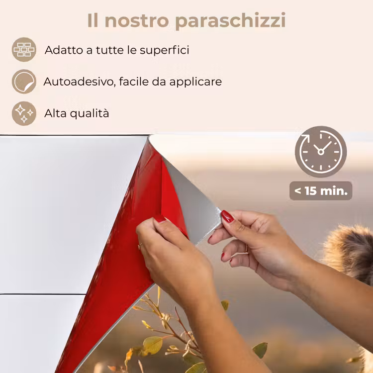 Paraschizzi cucina - Koala - Foglie - Luce del mattino — 4
