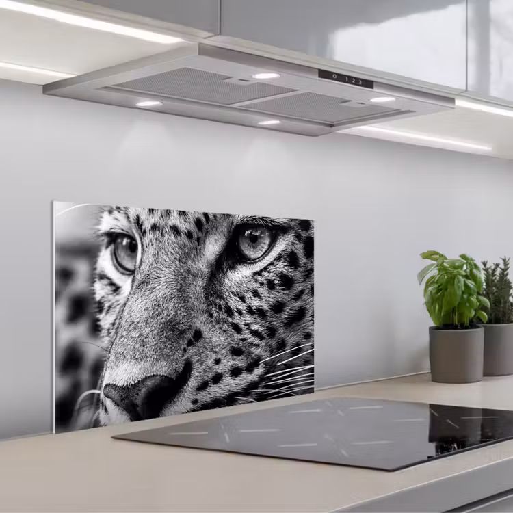 Paraschizzi cucina - Leopardo - Nero - Bianco - Occhio — 1