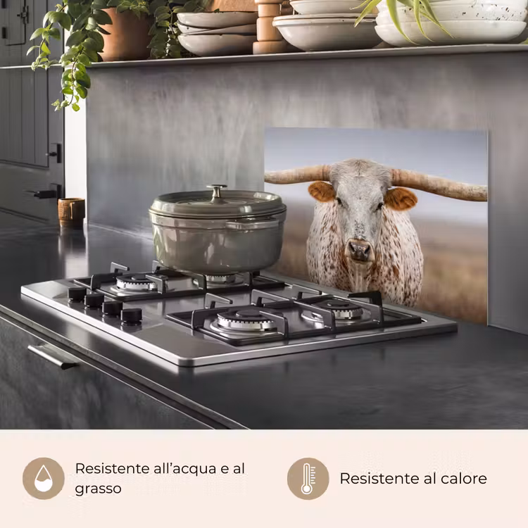 Paraschizzi cucina - Longhorn - Campo di erba - Animale — 2