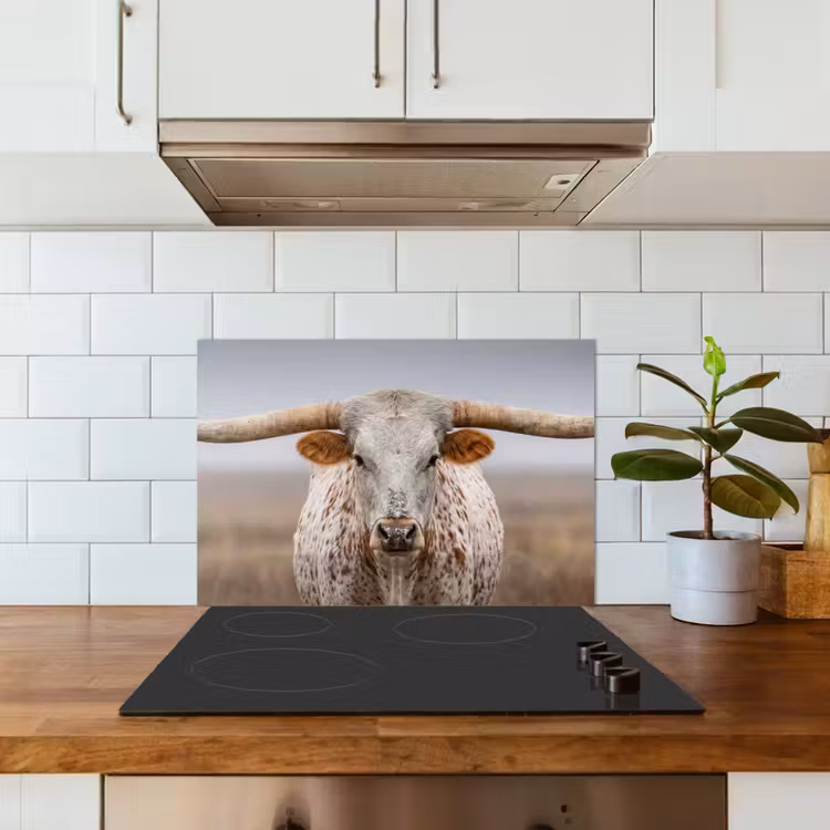 Paraschizzi cucina - Longhorn - Campo di erba - Animale — 3