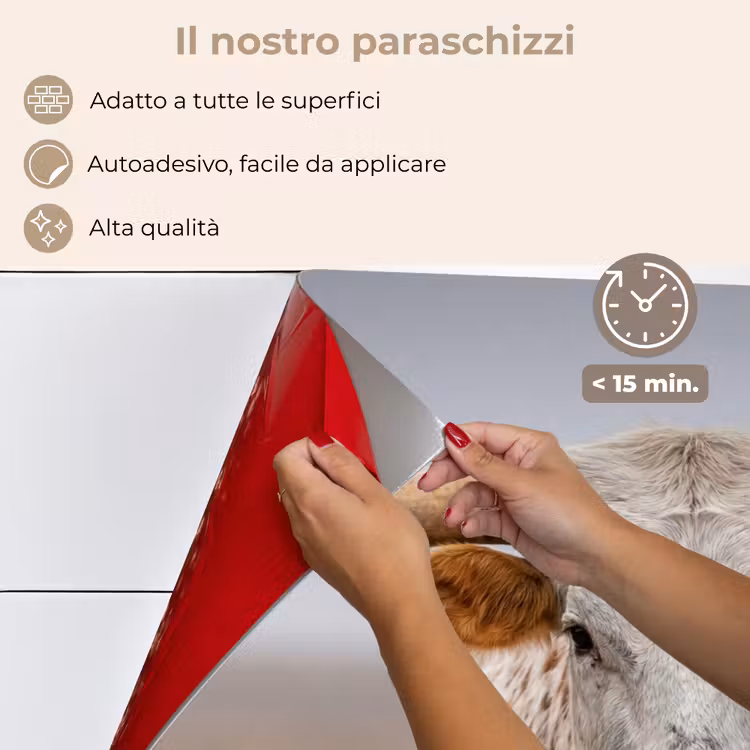 Paraschizzi cucina - Longhorn - Campo di erba - Animale — 4