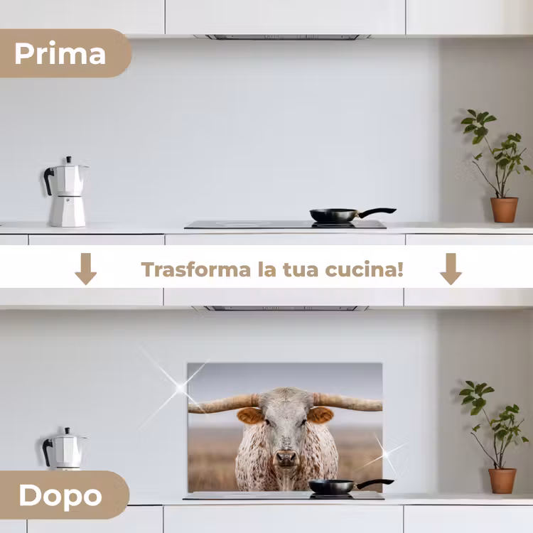 Paraschizzi cucina - Longhorn - Campo di erba - Animale — 7