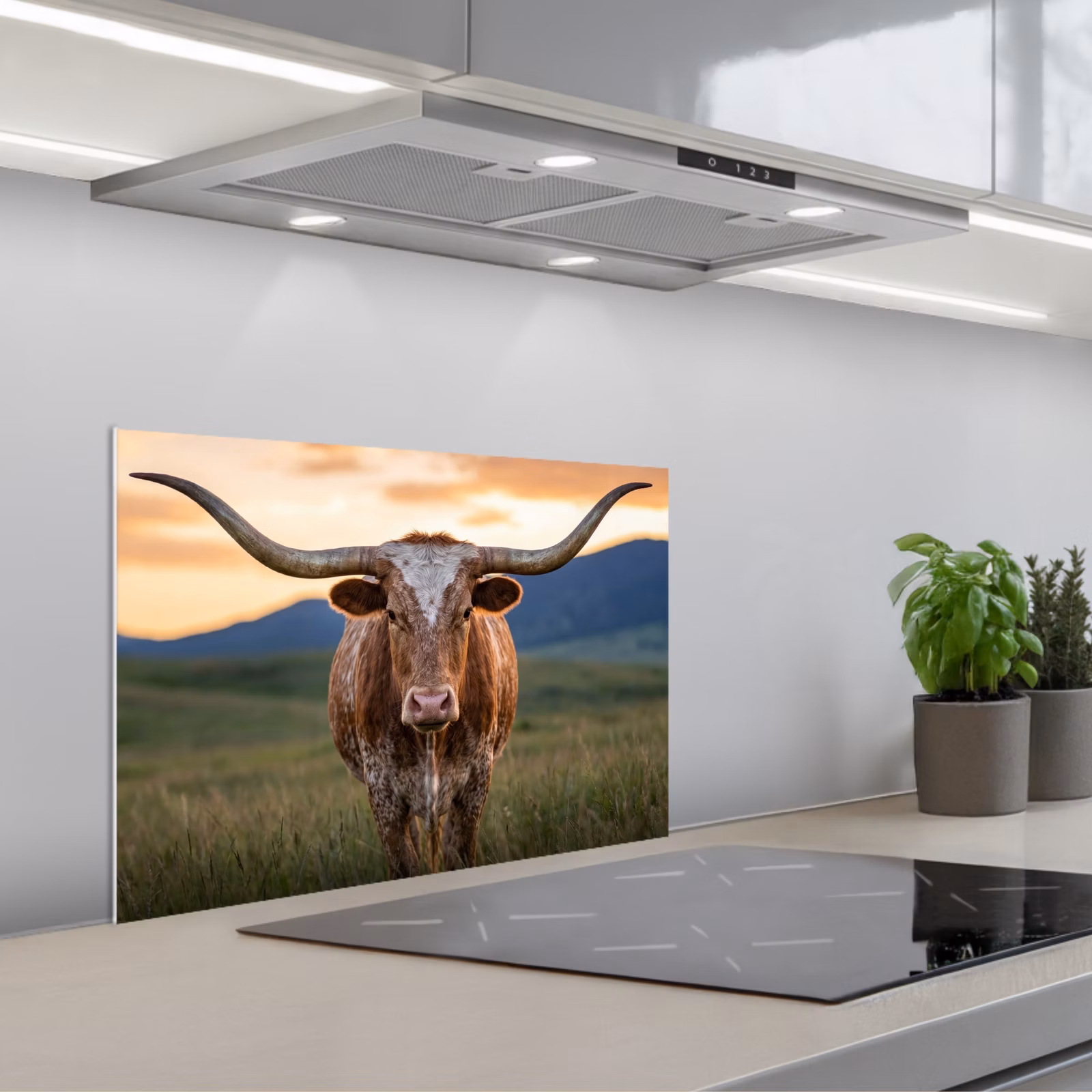 Paraschizzi cucina - Longhorn - Paesaggio - Tramonto — 1