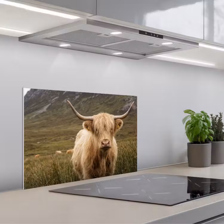 Paraschizzi cucina - Highlander scozzese - Bergen - Campo d'erba — 1