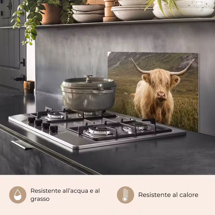 Paraschizzi cucina - Highlander scozzese - Bergen - Campo d'erba — 2