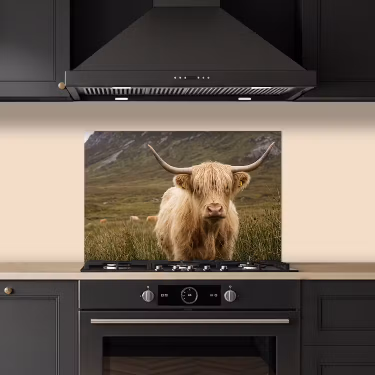 Paraschizzi cucina - Highlander scozzese - Bergen - Campo d'erba — 5