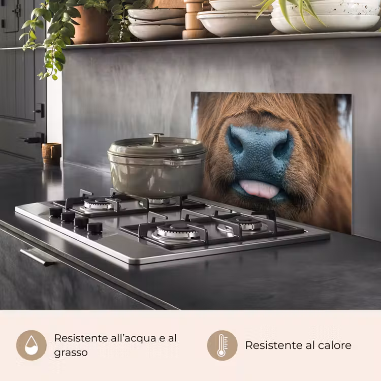 Paraschizzi cucina - Highlander scozzese - Naso - Marrone — 2