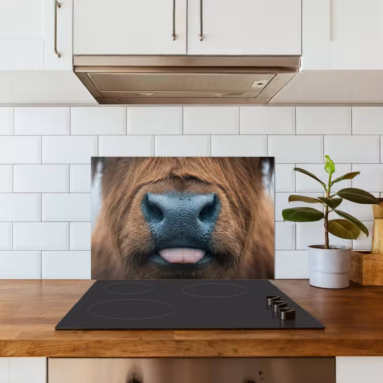 Paraschizzi cucina - Highlander scozzese - Naso - Marrone — 3
