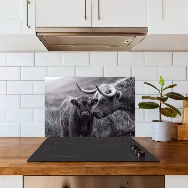 Paraschizzi cucina - Highlander scozzese - Vitello - Nero - Bianco — 3