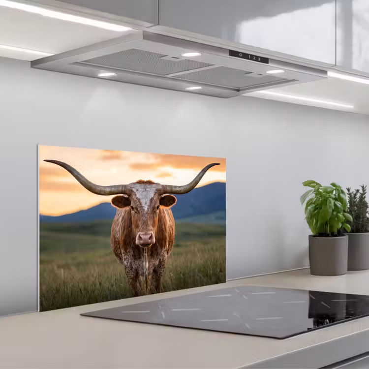 Paraschizzi cucina - Longhorn - Paesaggio - Tramonto — 1