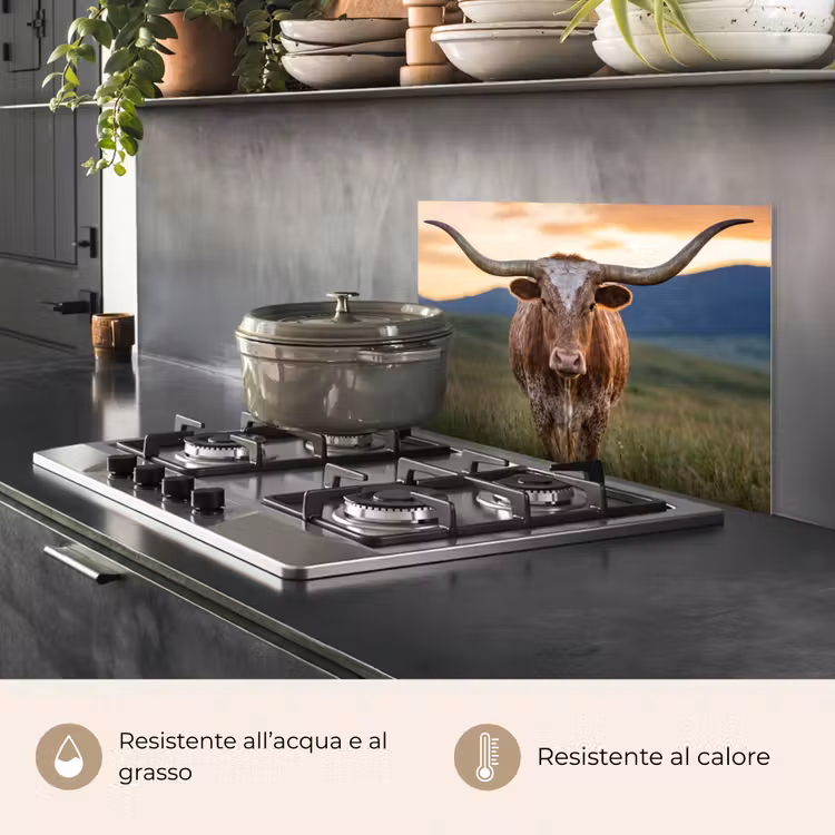 Paraschizzi cucina - Longhorn - Paesaggio - Tramonto — 2