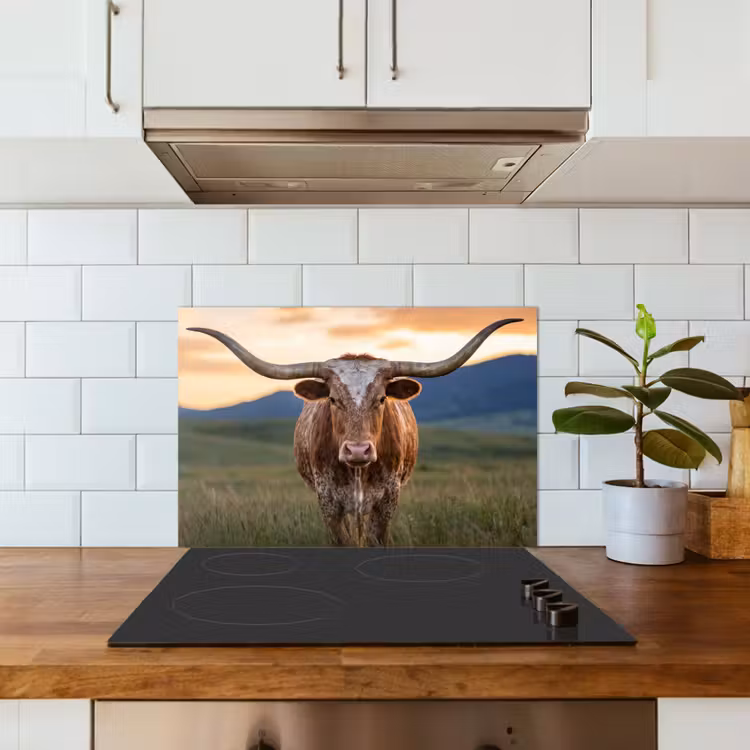 Paraschizzi cucina - Longhorn - Paesaggio - Tramonto — 3