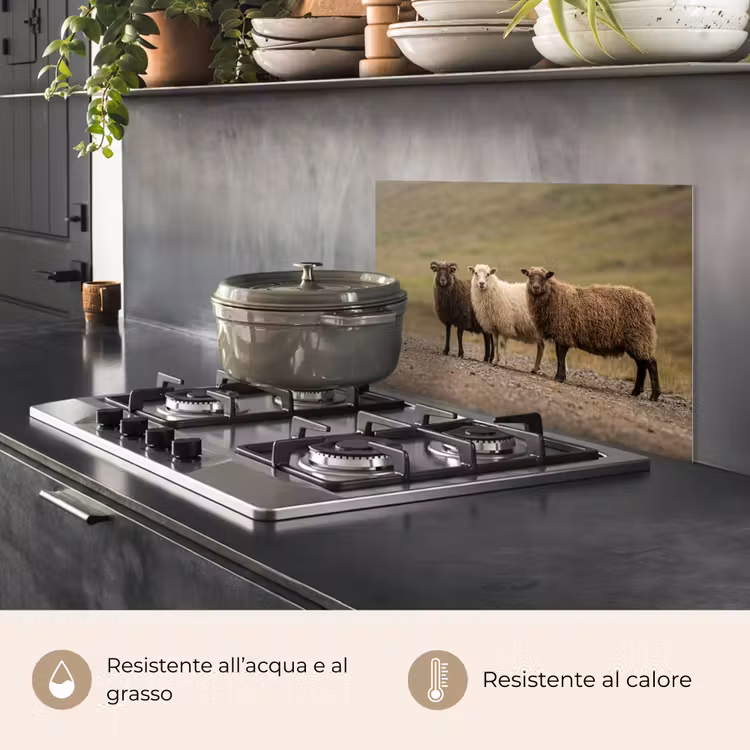 Paraschizzi cucina - Pecora - Marrone - Bianco - Sentiero di ghiaia — 2
