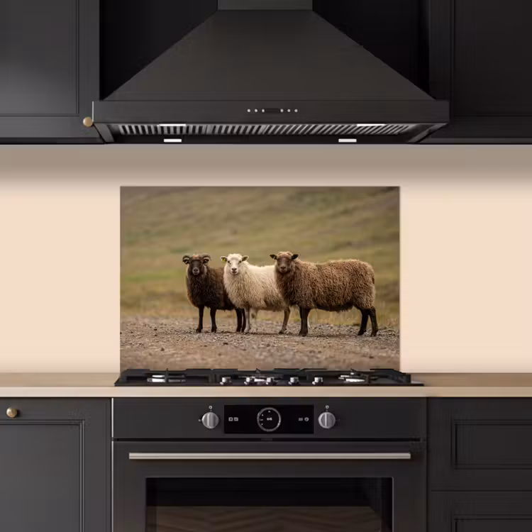 Paraschizzi cucina - Pecora - Marrone - Bianco - Sentiero di ghiaia — 5