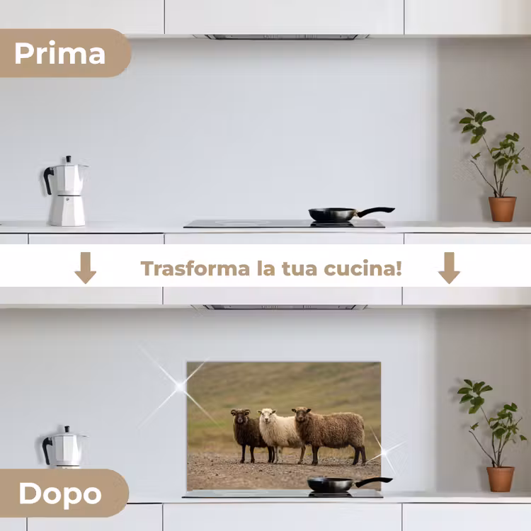 Paraschizzi cucina - Pecora - Marrone - Bianco - Sentiero di ghiaia — 7