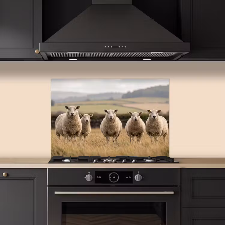 Paraschizzi cucina - Pecore - Paesaggio di pascolo - Colline — 5