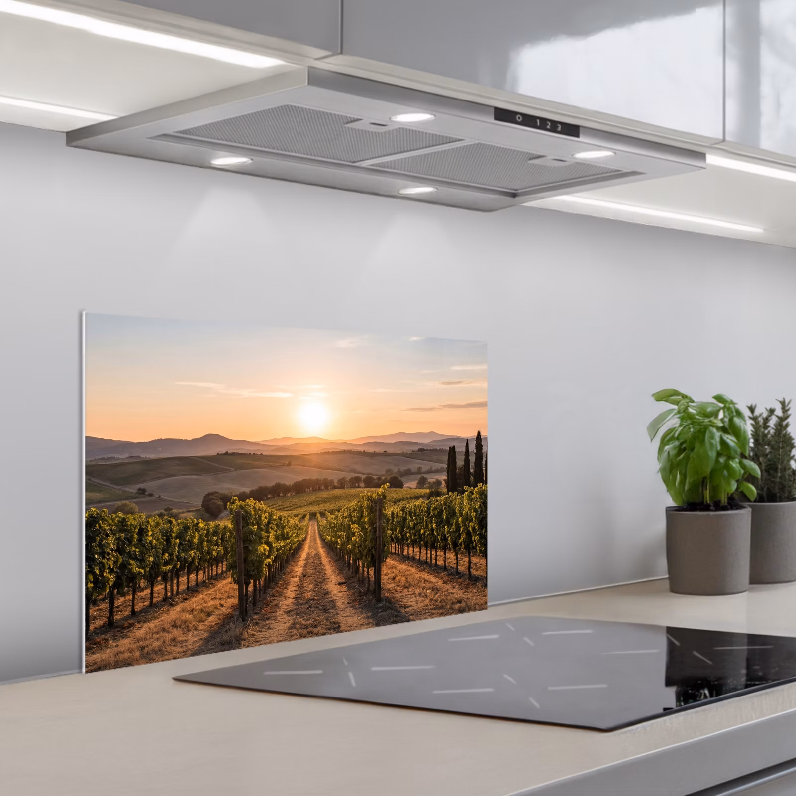 Paraschizzi cucina - Vigneto - Tramonto - Paesaggio — 1