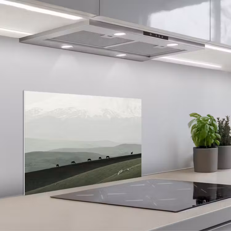 Paraschizzi cucina - Grigio - Montagna - Cavalli — 1