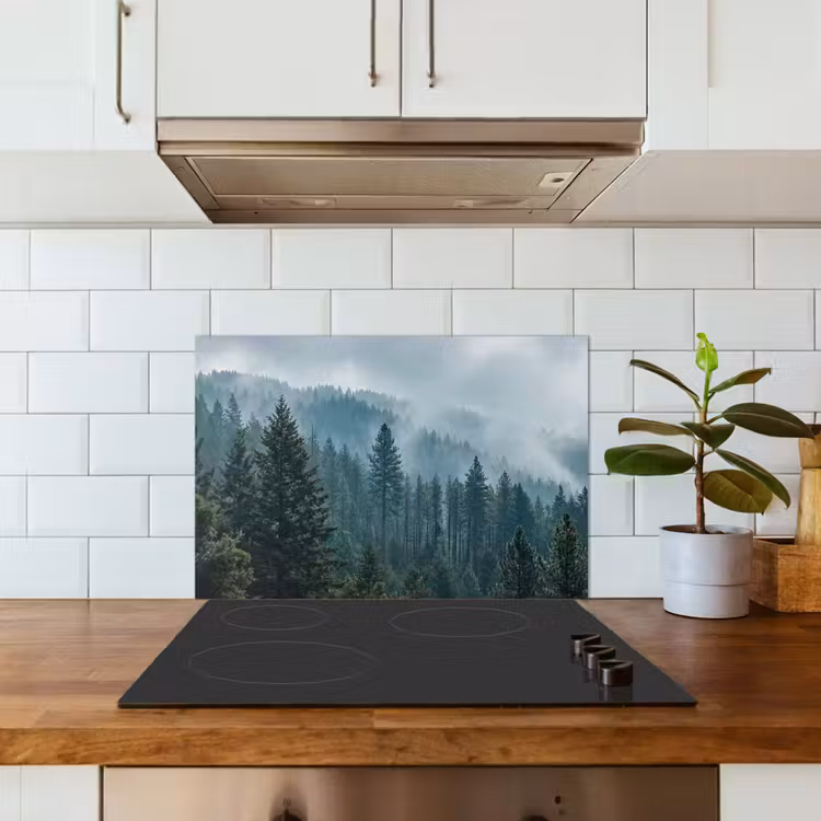 Paraschizzi cucina - Naaldwoud - Bergen - Nebbia — 3