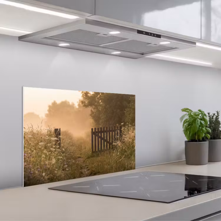 Paraschizzi cucina - Recinto - Natura - Nebbia - Campo — 1