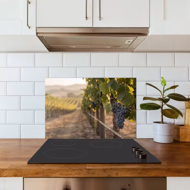 Paraschizzi cucina - Uva - Vigneto - Luce solare — 3