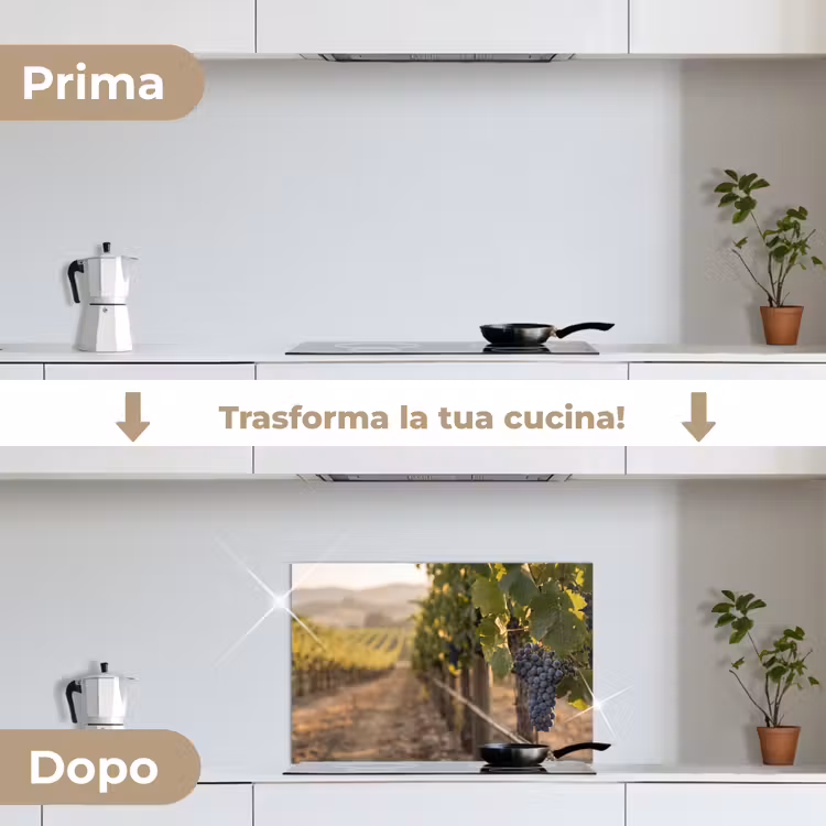 Paraschizzi cucina - Uva - Vigneto - Luce solare — 7