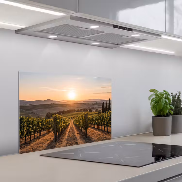Paraschizzi cucina - Vigneto - Tramonto - Paesaggio — 1