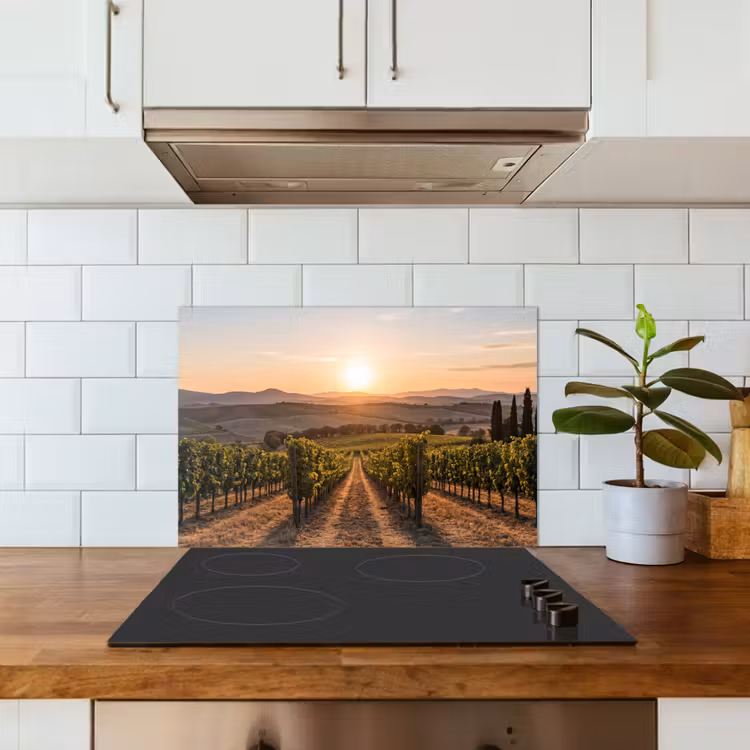 Paraschizzi cucina - Vigneto - Tramonto - Paesaggio — 3