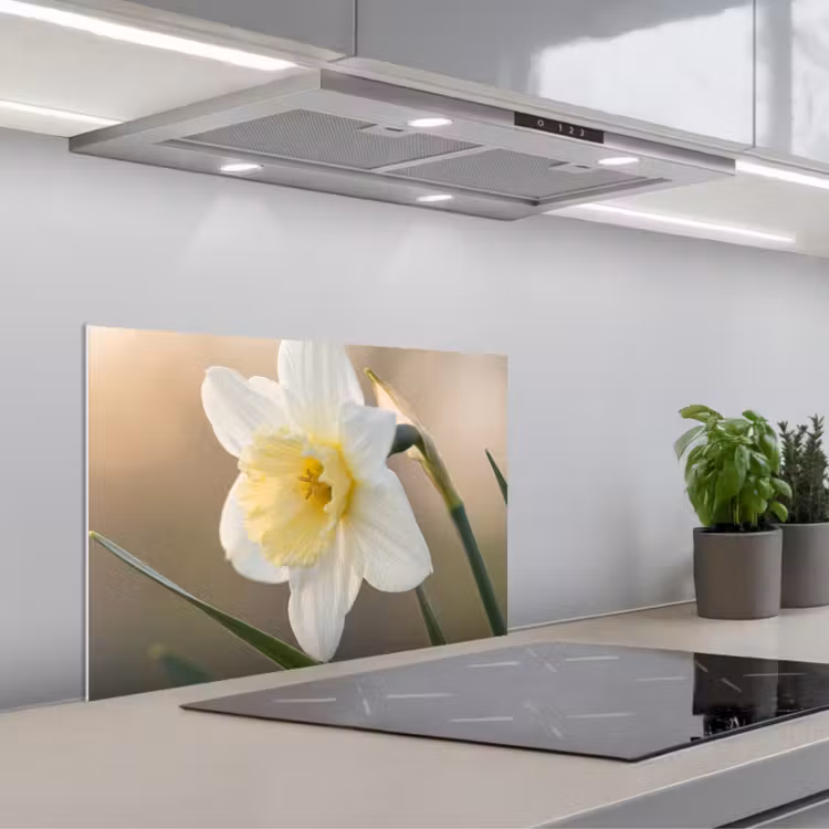 Paraschizzi cucina - Narciso - Fiore - Minimalista — 1