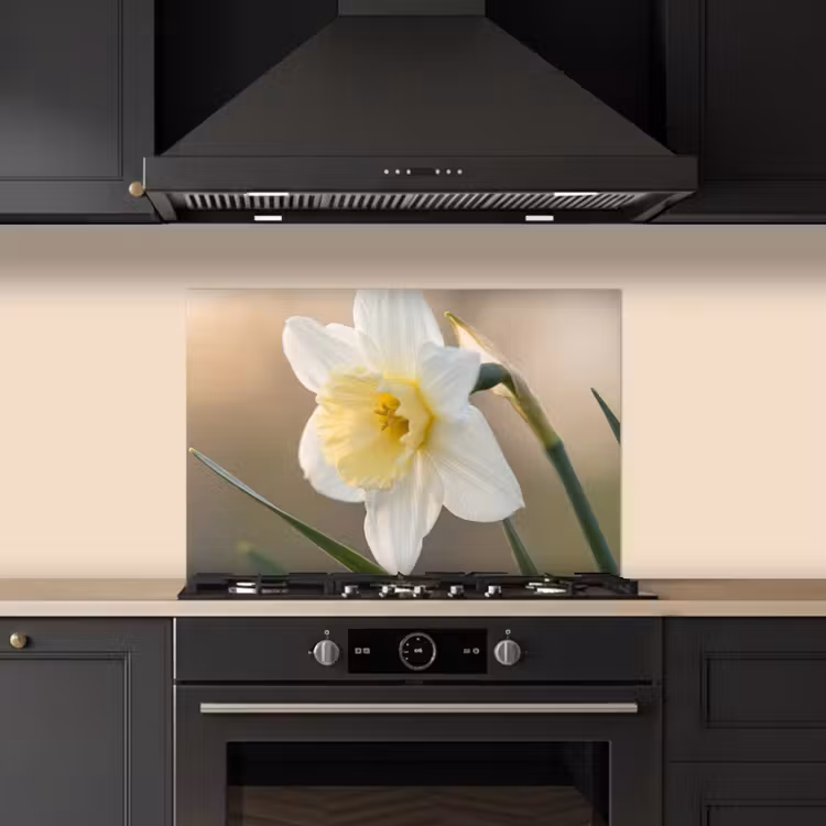 Paraschizzi cucina - Narciso - Fiore - Minimalista — 5