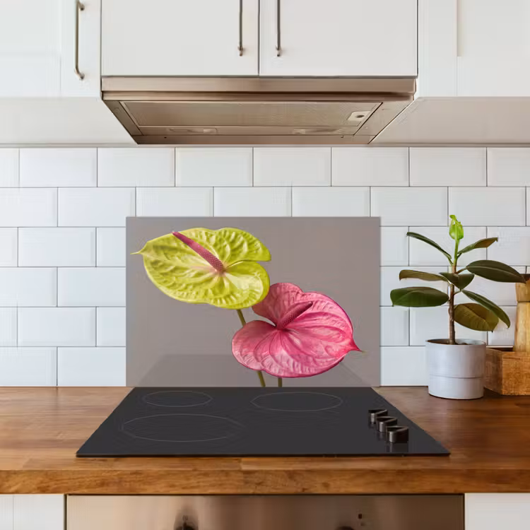 Paraschizzi cucina - Piante - Anthurium - Verde - Rosa — 3