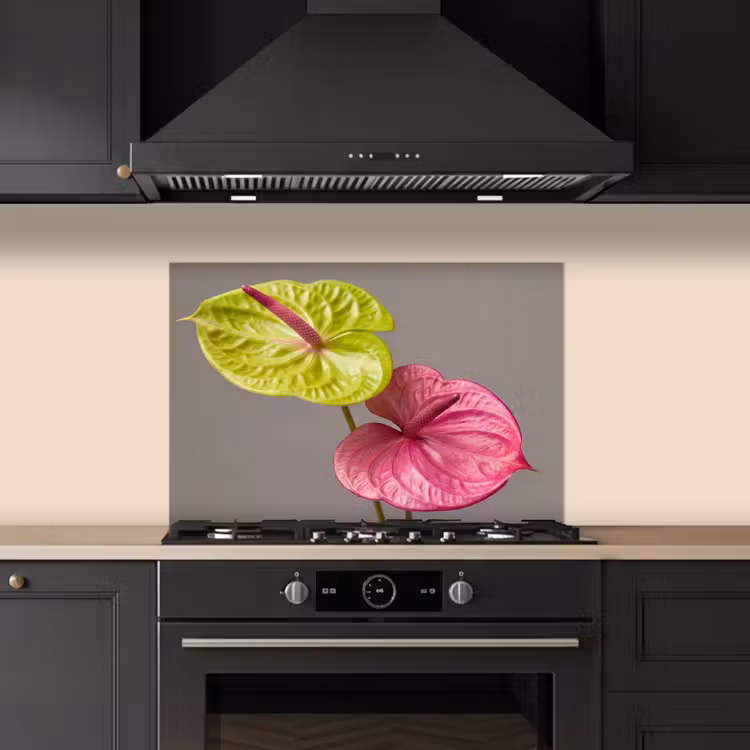 Paraschizzi cucina - Piante - Anthurium - Verde - Rosa — 5