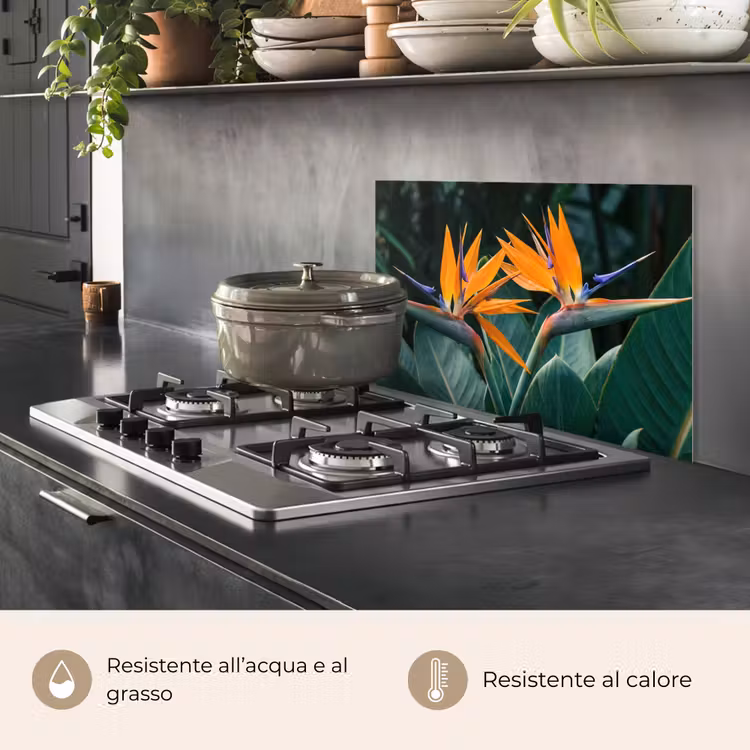 Paraschizzi cucina - Uccello del paradiso - Fiore - Esotico — 2