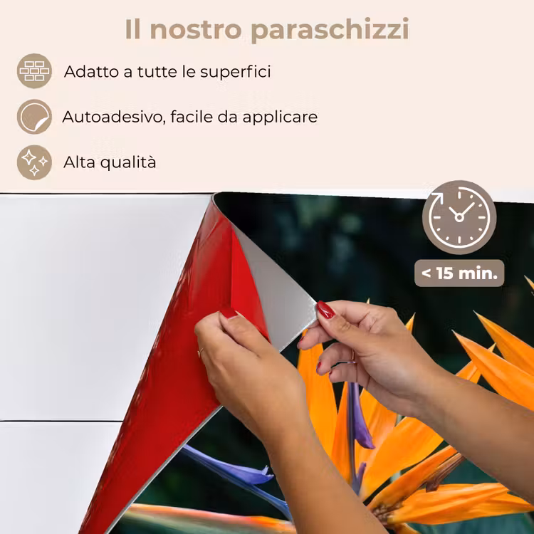 Paraschizzi cucina - Uccello del paradiso - Fiore - Esotico — 4