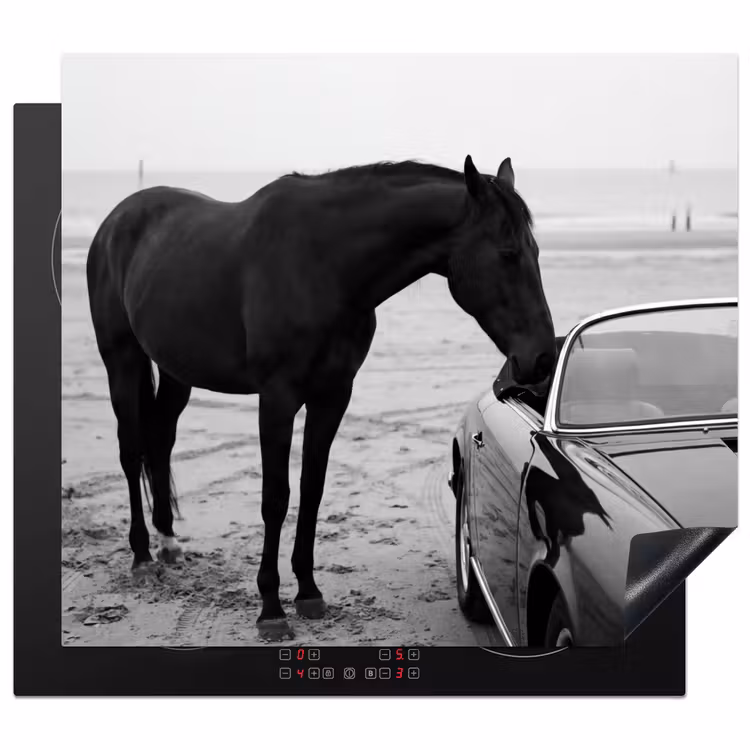 Protezione piano induzione - Cavallo - Auto - Nero - Bianco — 1