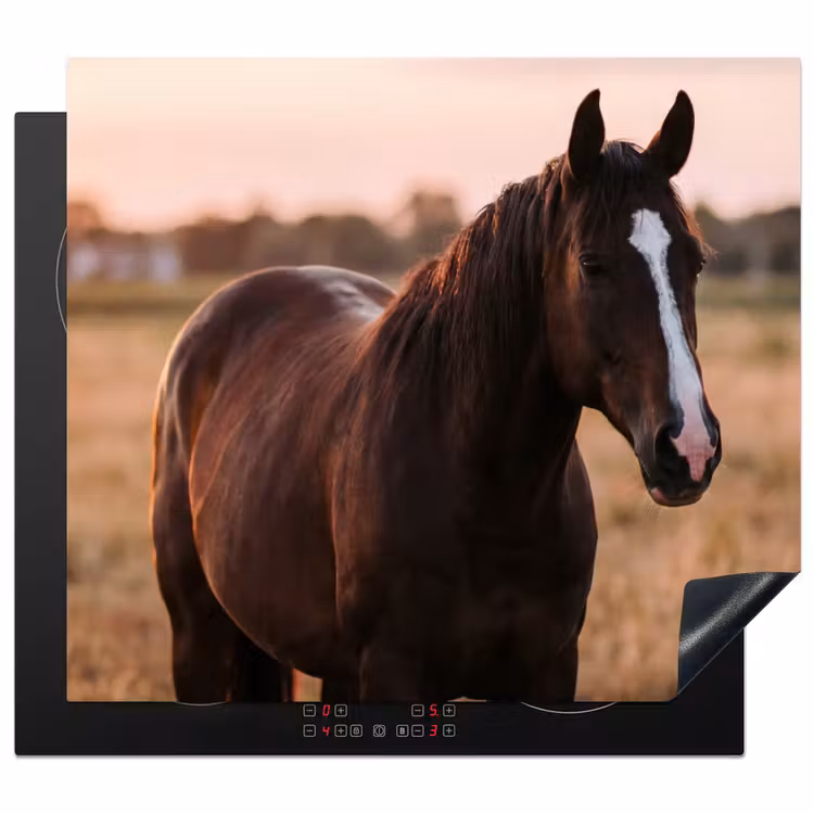 Protezione piano induzione - Cavallo - Tramonto - Marrone — 1