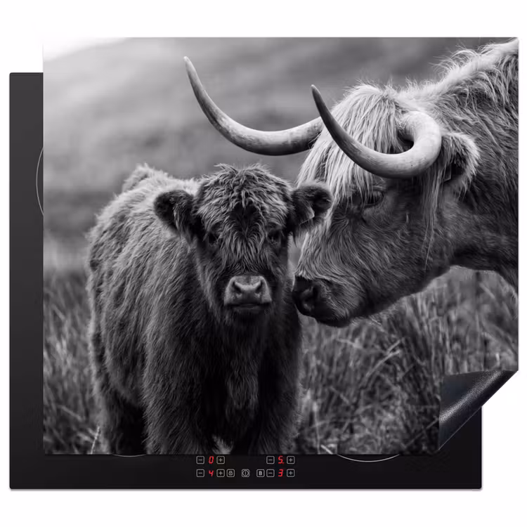 Protezione piano induzione - Highlander scozzese - Vitello - Nero - Bianco — 1