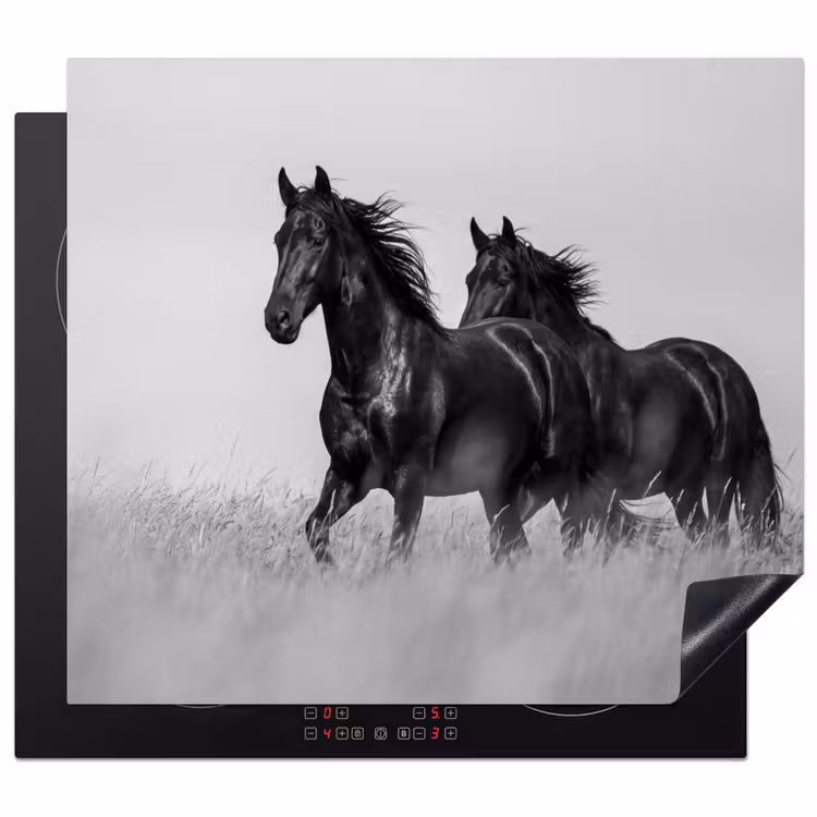 Protezione piano induzione - Cavalli - Erba - Nero - Bianco — 1