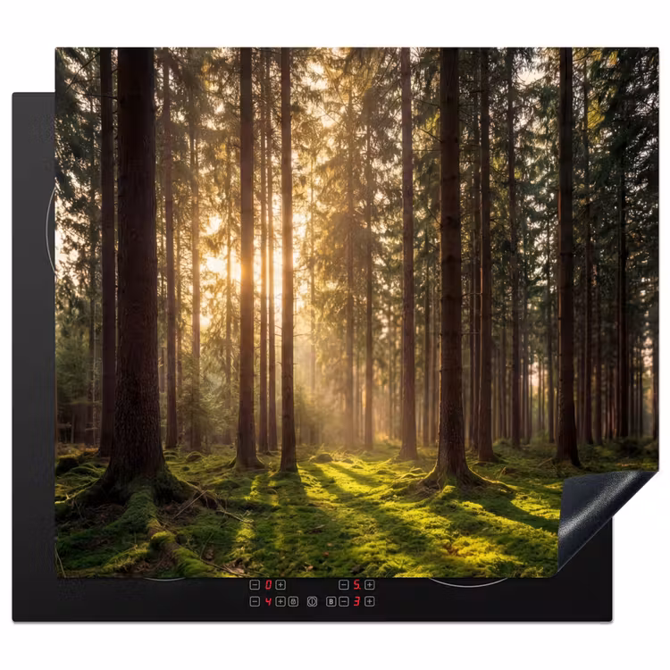 Protezione piano induzione - Foresta - Erba - Luce del sole — 1