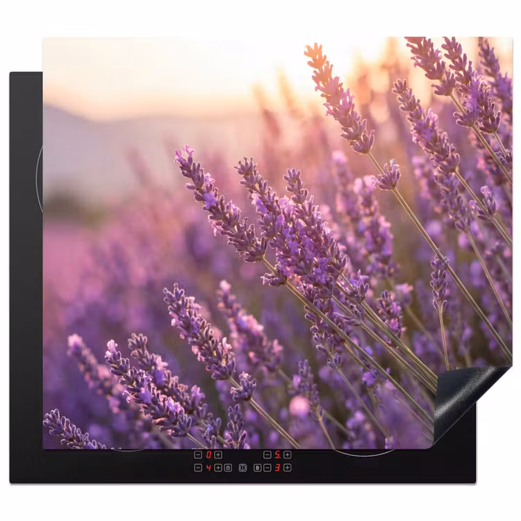 Protezione piano induzione - Lavanda - Viola - Luce solare — 1