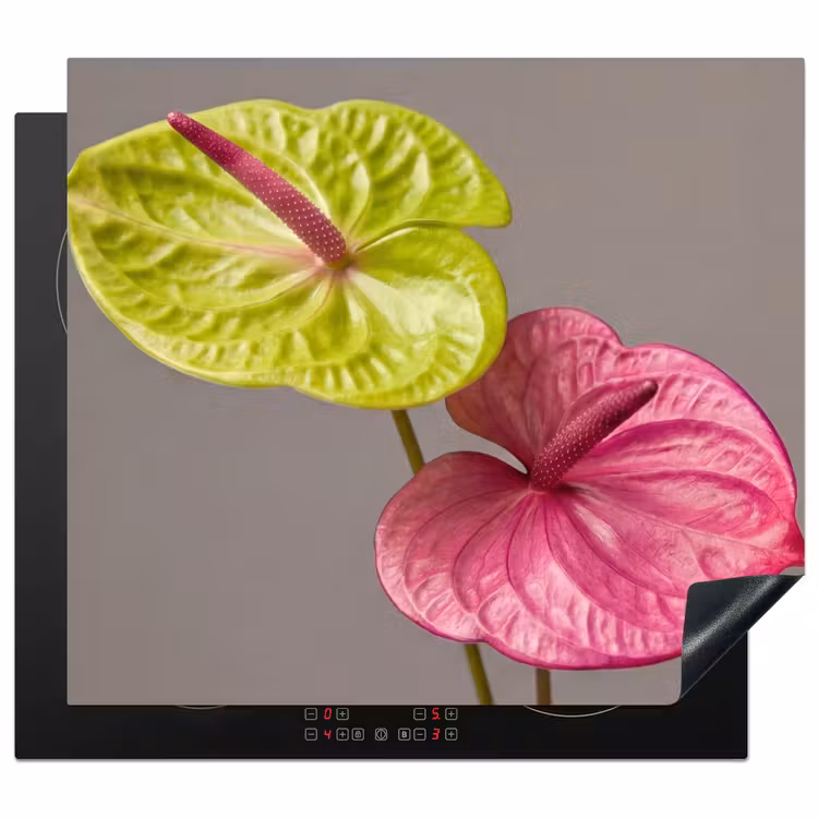 Protezione piano induzione - Piante - Anthurium - Verde - Rosa — 1