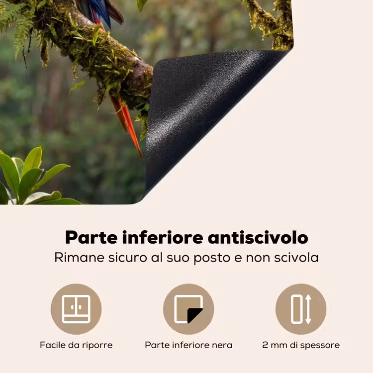 Protezione piano induzione - Ara - Giungla - Rosso — 6