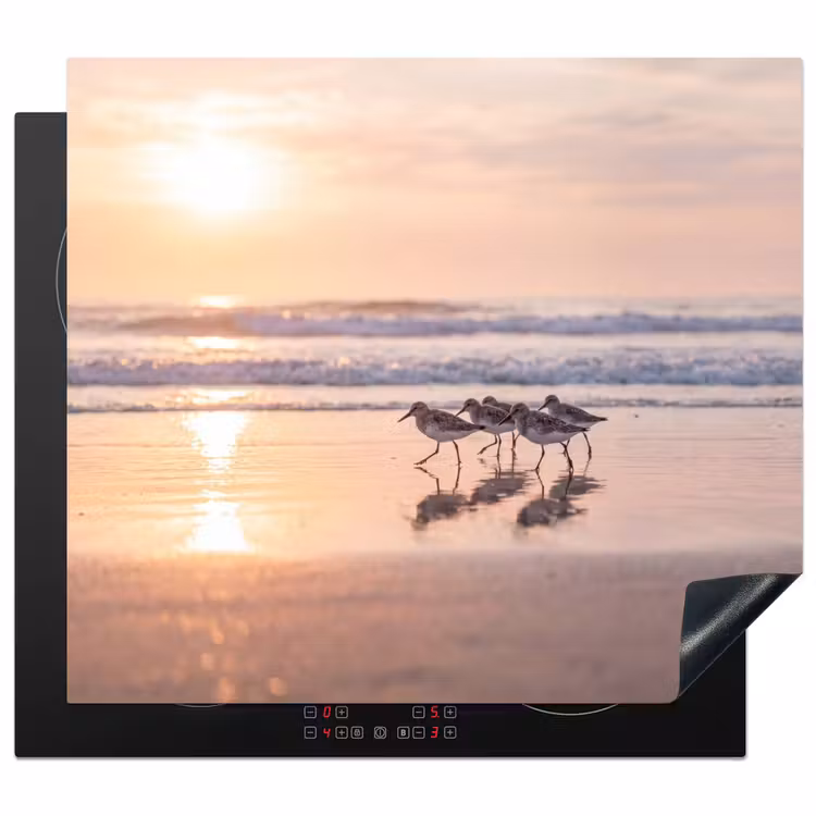Protezione piano induzione - Mare - Uccelli - Spiaggia — 1