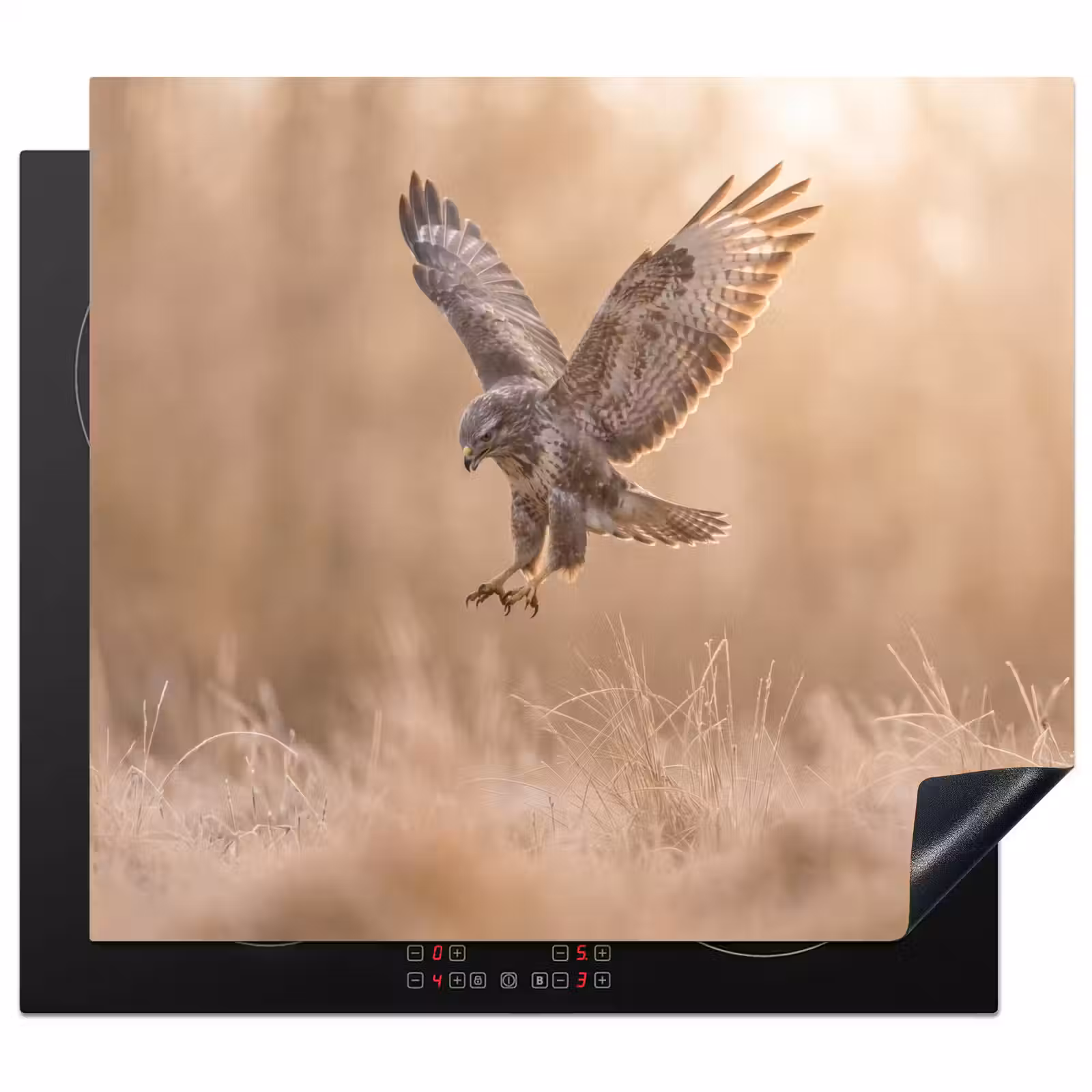 Protezione piano induzione - Poiana - Uccello rapace - Natura - Marrone — 1